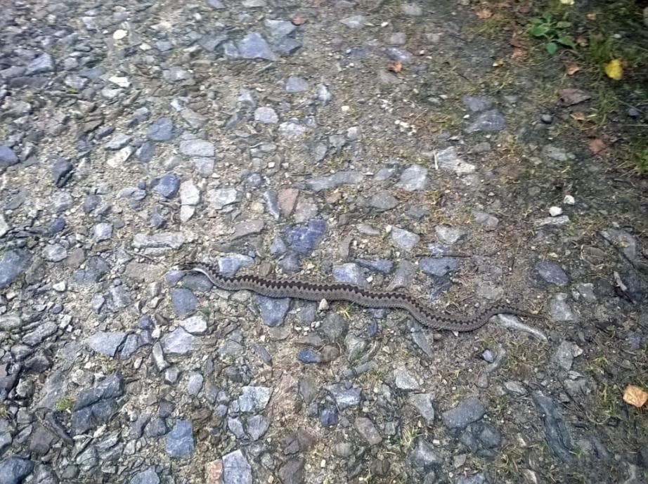 Cyklotrasa Vltavská - za Bučinou