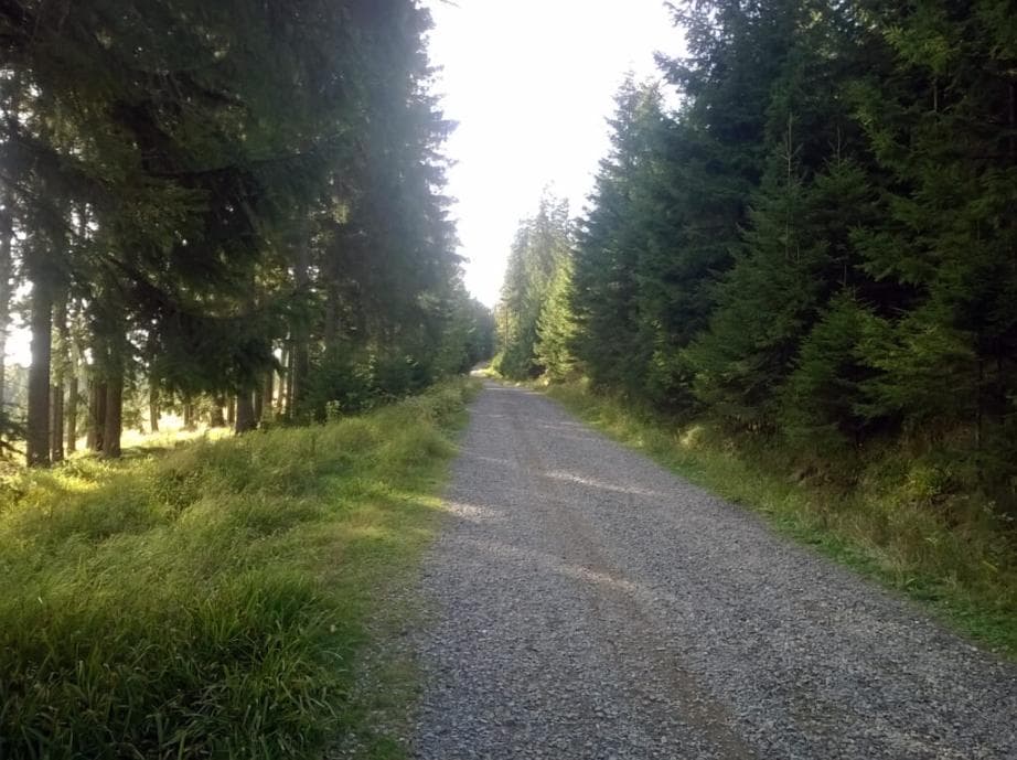 Cyklotrasa Vltavská - za Bučinou