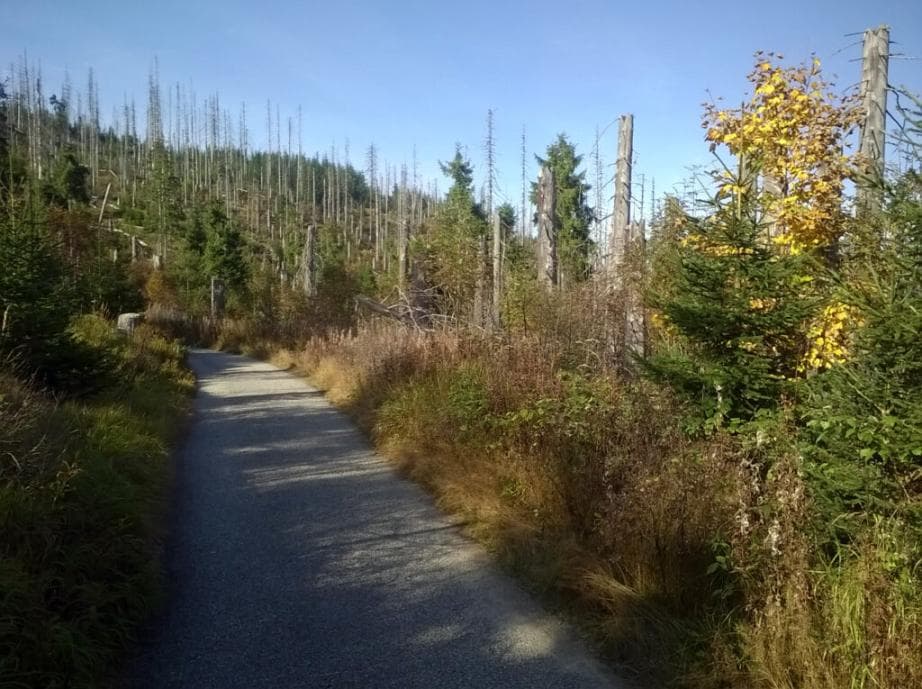 Cyklotrasa 7 - nad pramenem Vltavy