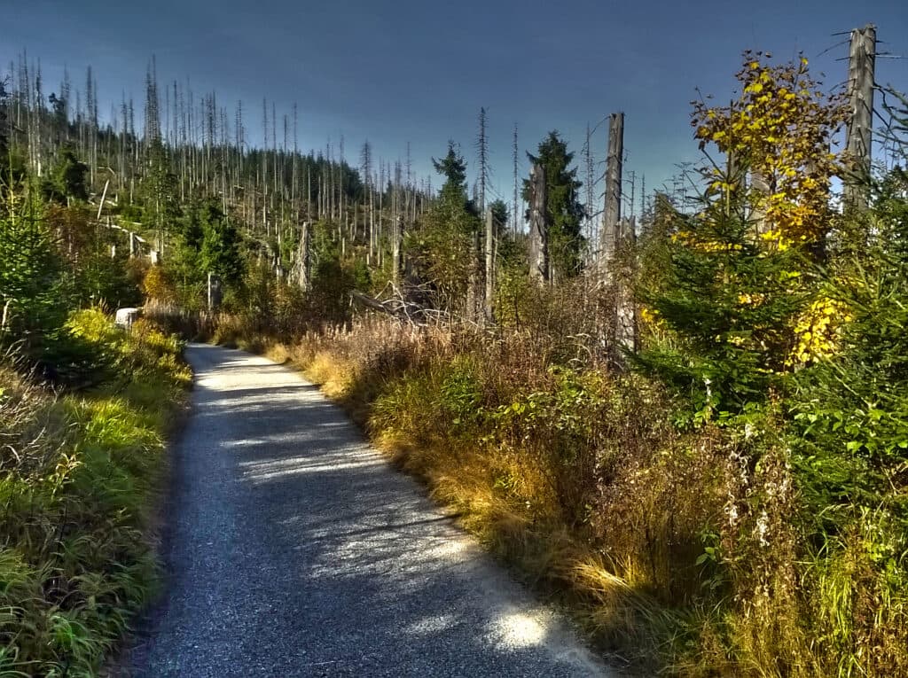 Cyklotrasa 7 - nad pramenem Vltavy
