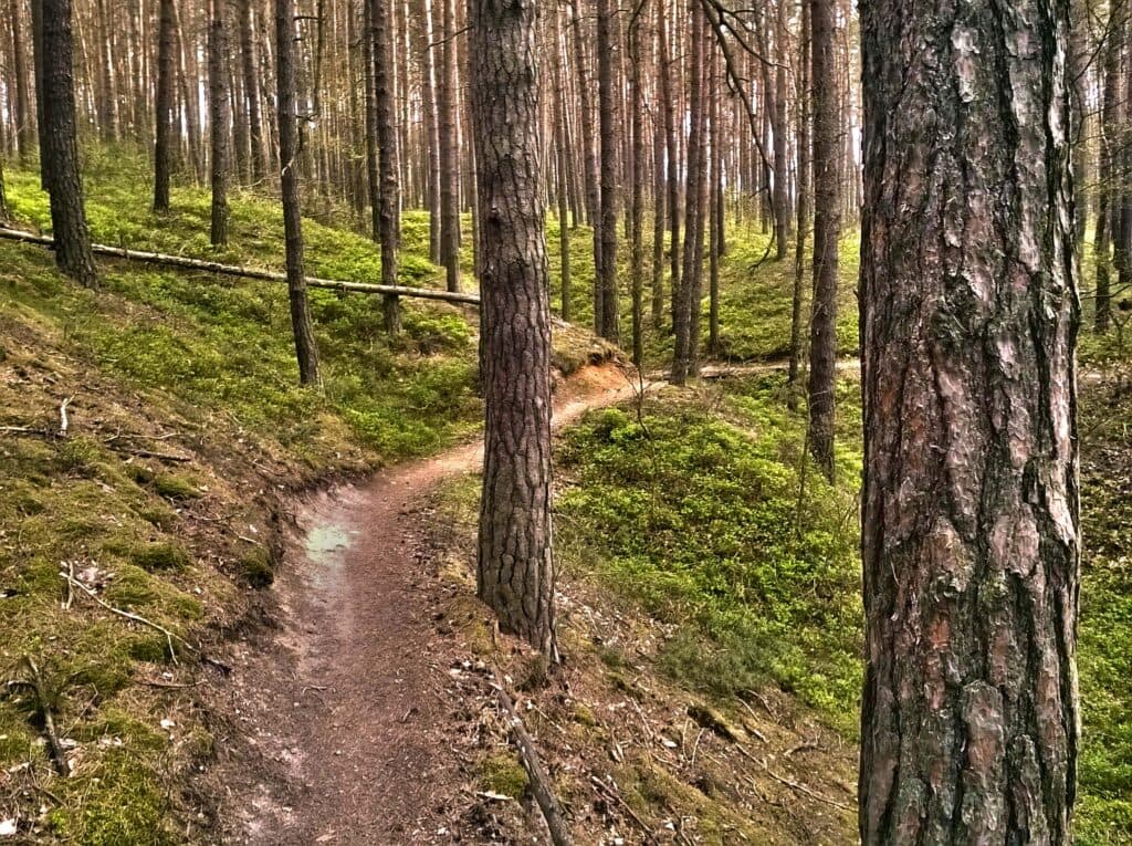 Úzký trail od železničního viaduktu