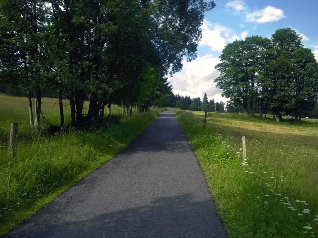 Cyklotrasa 331 Bučinská