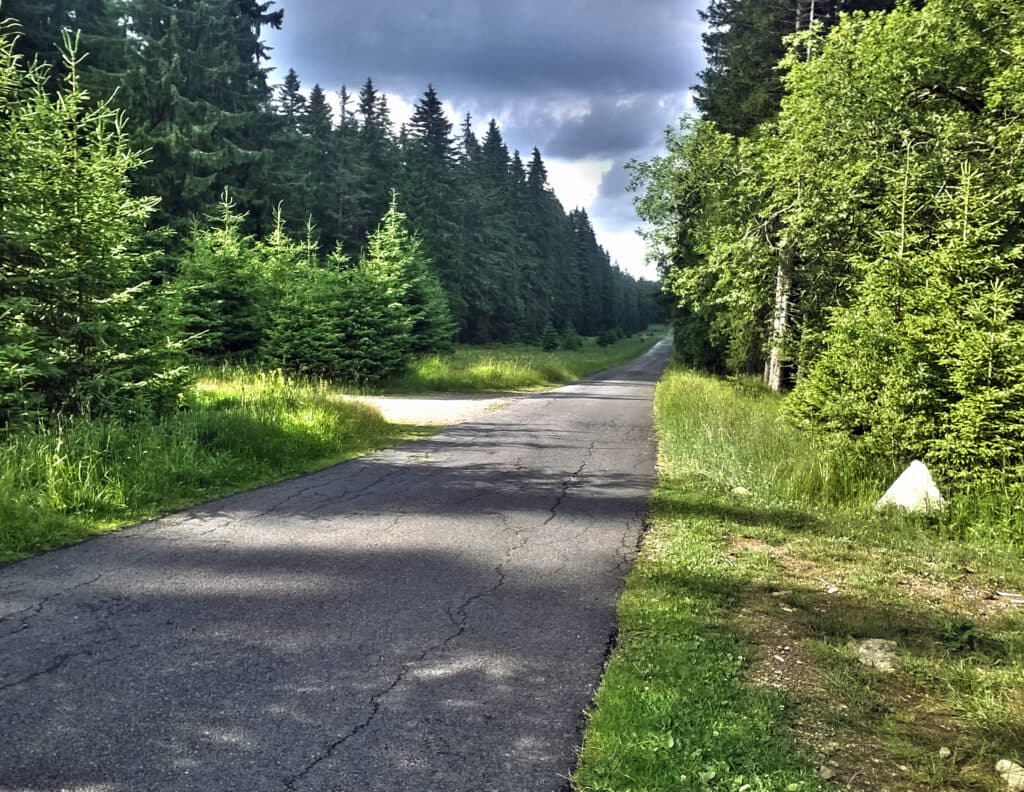 Cyklotrasa 331 Bučinská