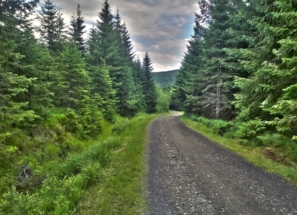 Cyklotrasa Vltavská