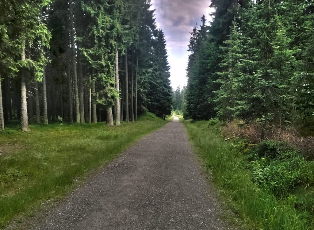 Cyklotrasa Vltavská do Bučiny
