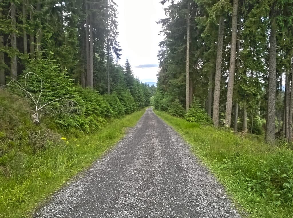 Cyklotrasa Vltavská do Bučiny