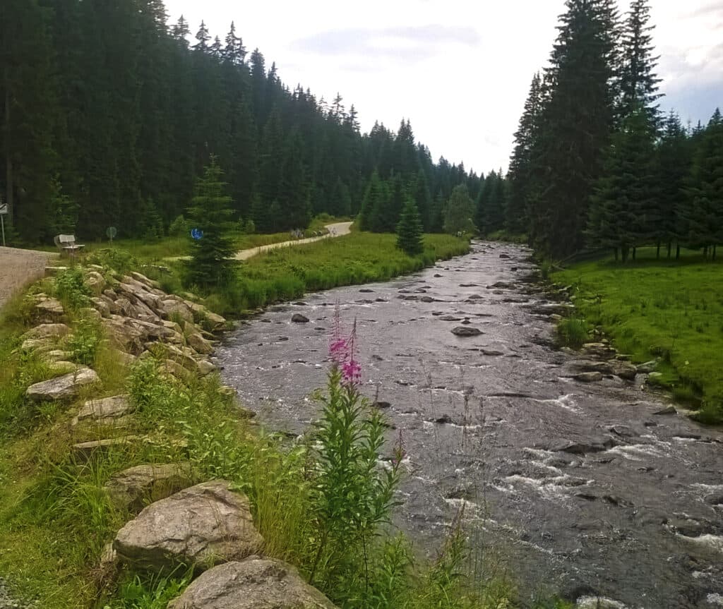 Roklanský potok v Modravě