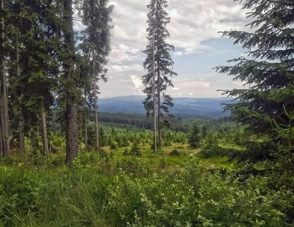 Stezka Českem - Vltavská