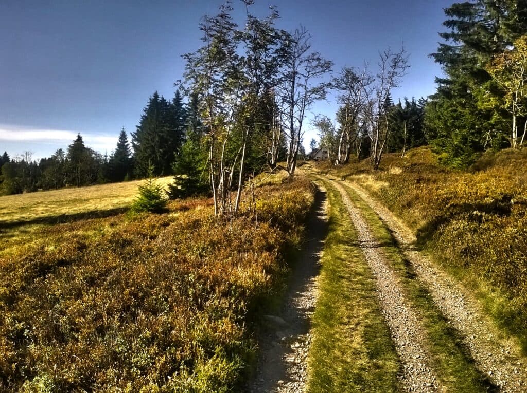 Na kole z Jáchymova do trailcentra Rabenberg