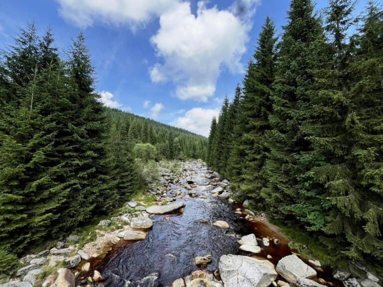 Cyklotrasa z Harrachova na přírodní památku Na Izere (PL)