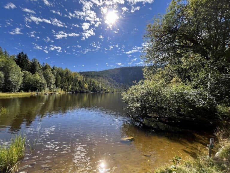 Cyklotrasa Stožec – Plešné jezero – Nová Pec – Mrtvý luh