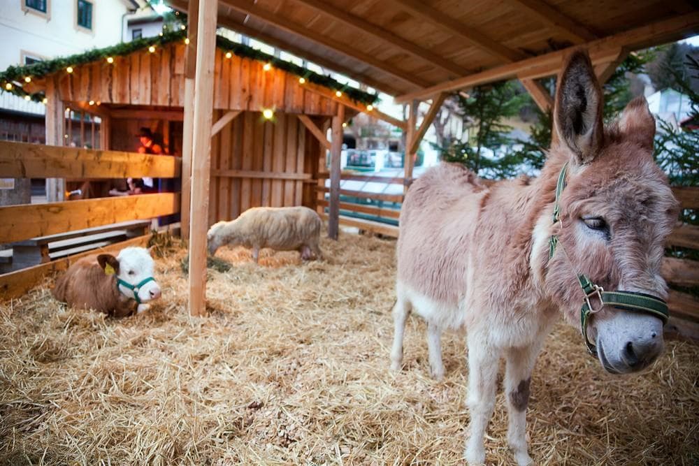 Mariazell a průvod čertů