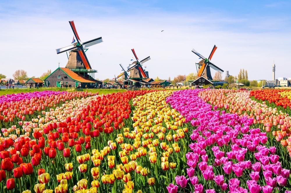 Květinový park Keukenhof