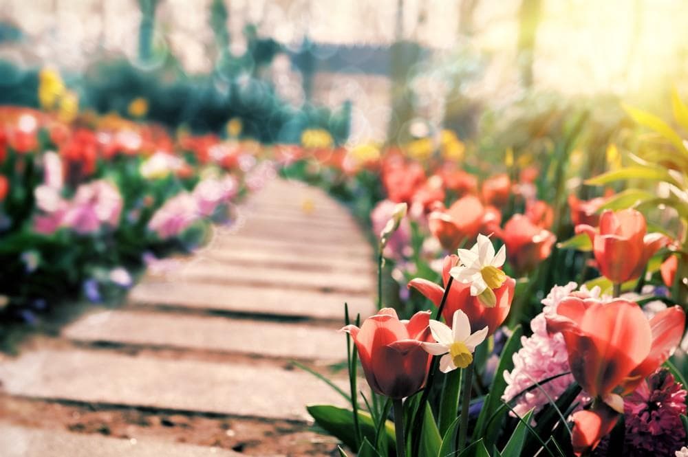 Květinový park Keukenhof