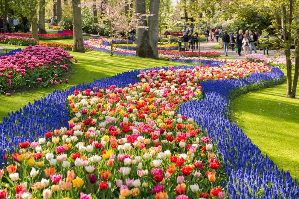 Květinový park Keukenhof
