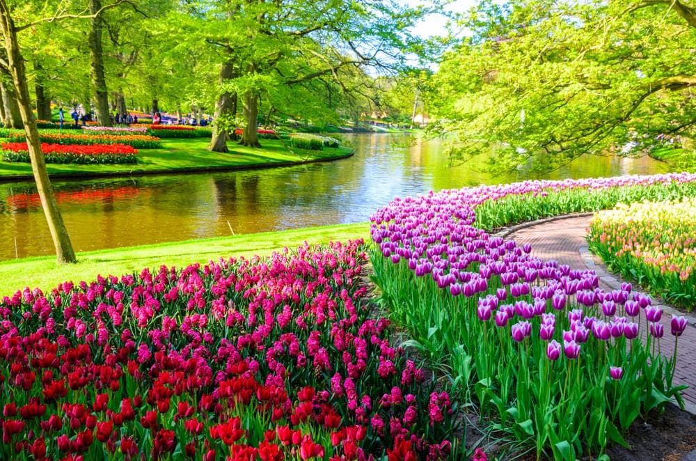 Květinový park Keukenhof
