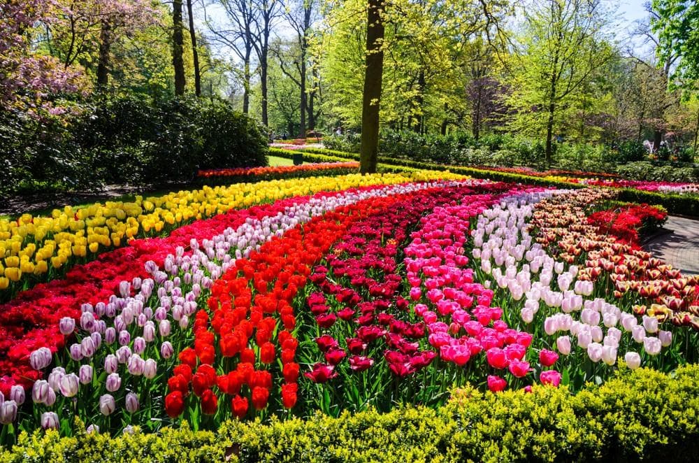 Květinový park Keukenhof