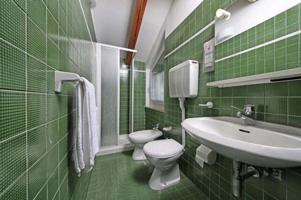 Hotel Stella Alpina