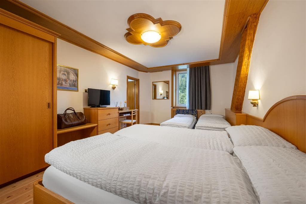 Hotel Vioz