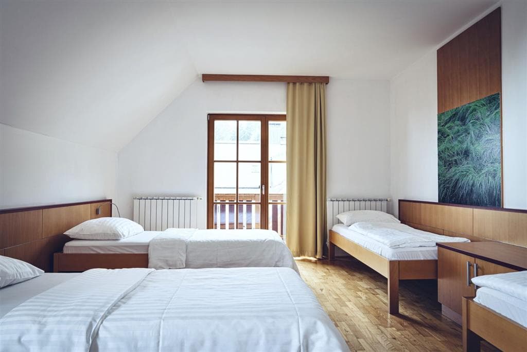 Forest Hotel Videc