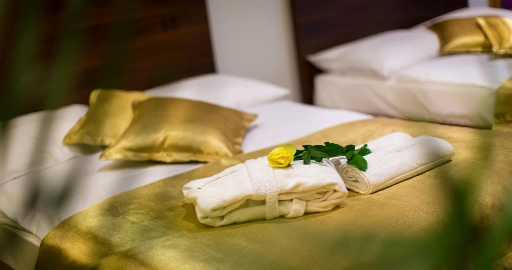 Wellness pobyt s dopravou, polopenzí a ochutnávkou na farmě v ceně v hotelu RimskiZdraviliški Dvor