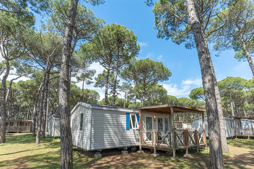 Village Spina Family Collection