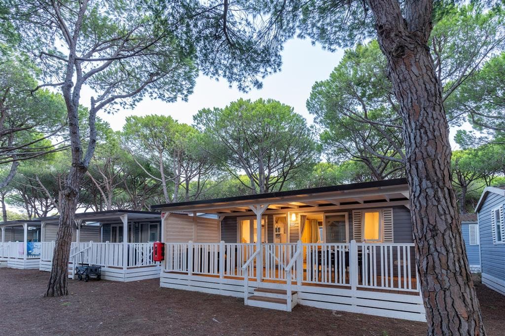 Kemp Orbetello Family Collection