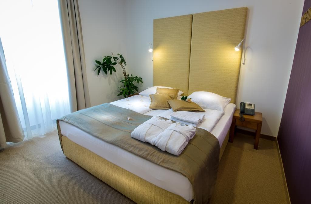 Hotel Zdraviliški Dvor
