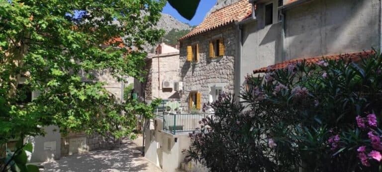 Apartmán City Centar (Branka)