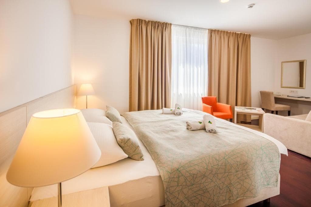 Hotel Borovnik