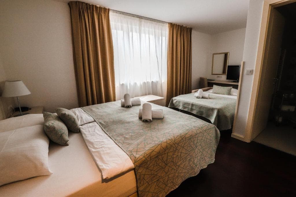 Hotel Borovnik