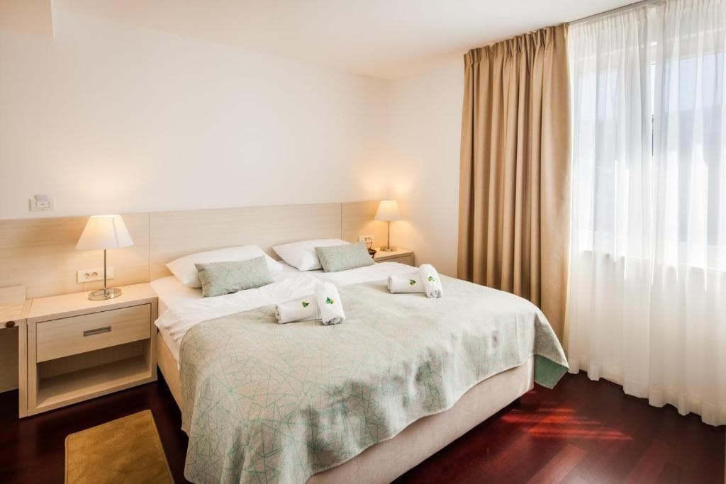 Hotel Borovnik