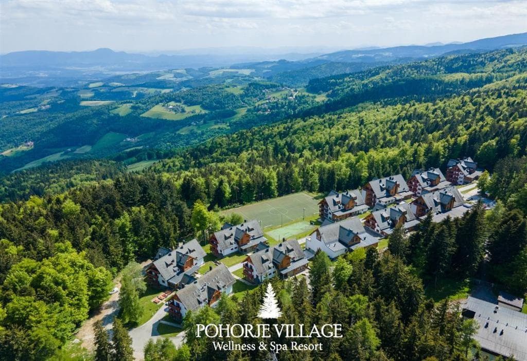 Hotel Forest Videc