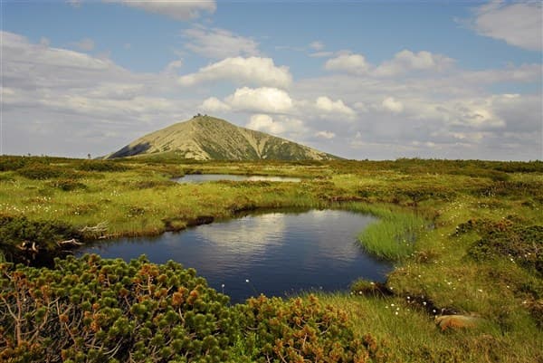 NICO – Špindlerův Mlýn