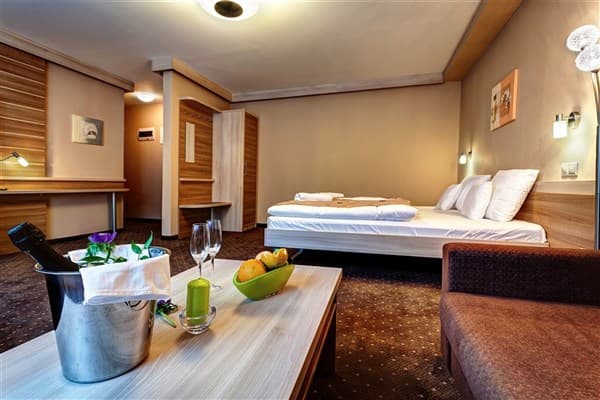 ALEXANDRA WELLNESS HOTEL – Liptovský Ján – Jánska dolina