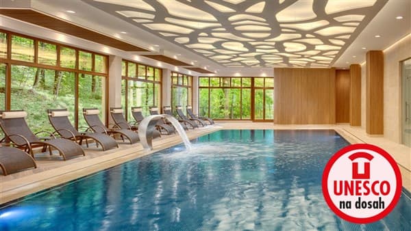 SVOBODA – Mariánské Lázně