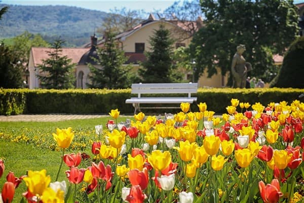 SPLENDID & GRAND Ensana Health Spa Hotel – Piešťany