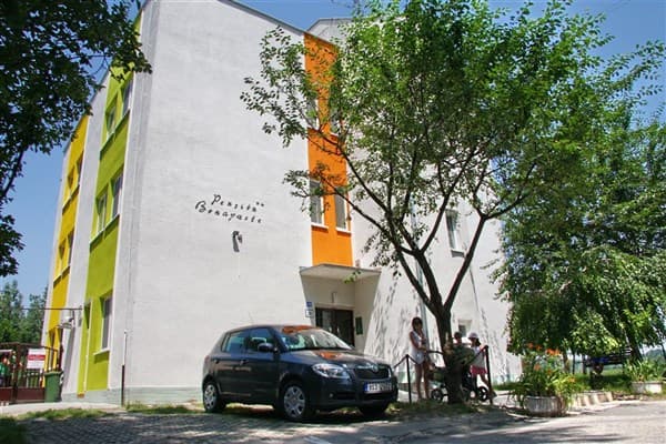BONAPARTE a KORZIKA – Patince