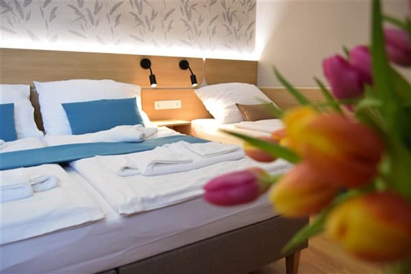 THERMAL VARGA HOTELS & APARMENTS- Veľký Meder