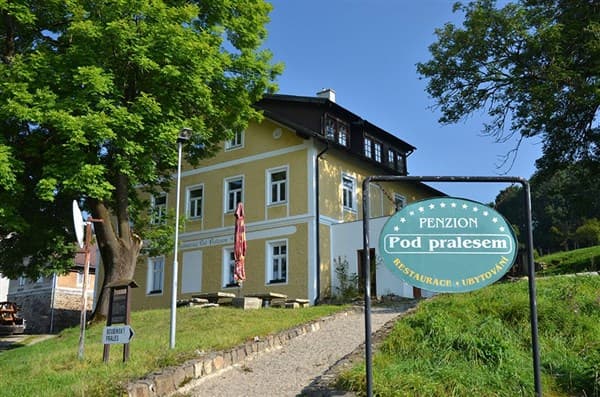 POD PRALESEM – Zátoň