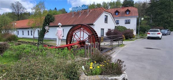 MLÝNHOTEL 1 – Vílanec
