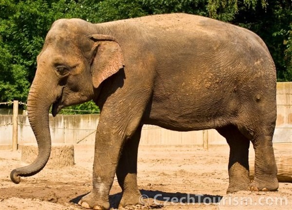 CHARLES CENTRAL – Praha 8 – Karlín