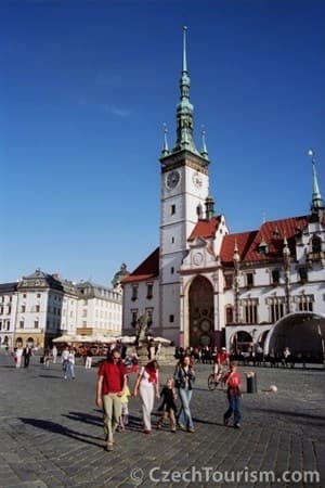 CENTRAL PARK FLORA – Olomouc