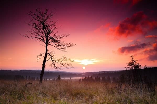 U SNĚHULÁKA – Boží Dar