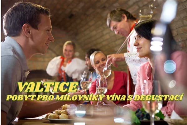 POBYT PRO MILOVNÍKY VÍNA, penzion SIESTA – Valtice