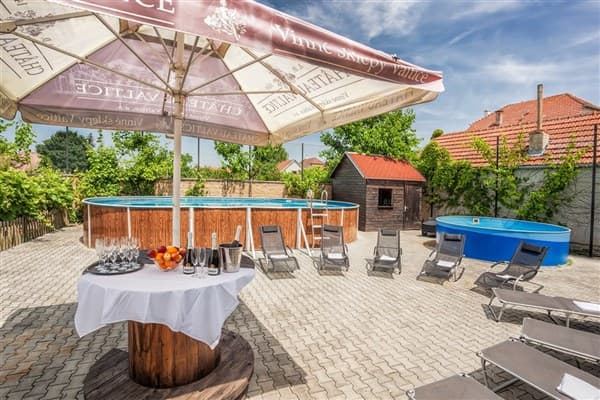 POBYT PRO MILOVNÍKY VÍNA, penzion SIESTA – Valtice