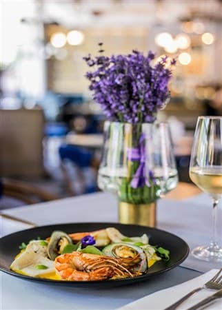APIS – Kraków (Krakov)