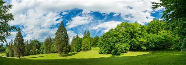 RIMSKI DVOR – Rimske Terme