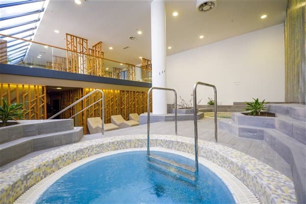 ŠPIK – Gozd Martuljek