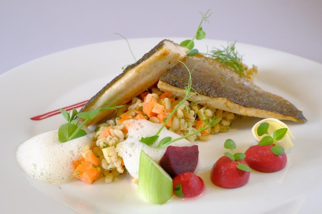 Hotel Planja – Green Holidays